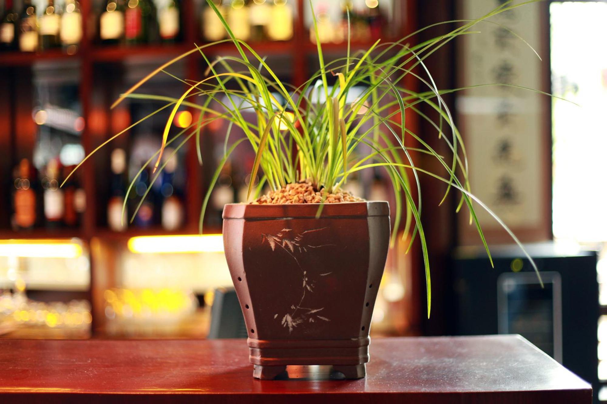 Jun Bo Xuan Boutique Hotel Лицзян Экстерьер фото